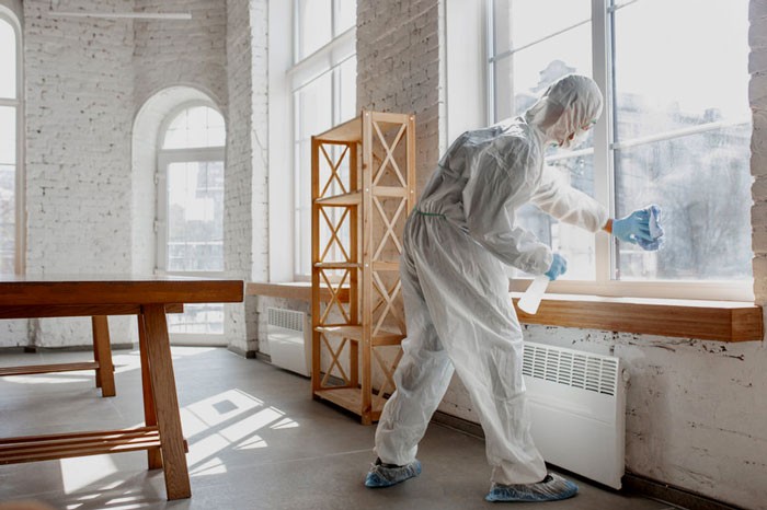 Mold Remediation